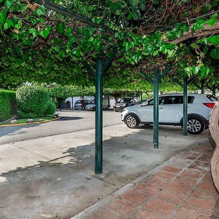 Mini Motel At Los Naranjosgc Marbella Exterior foto